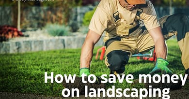save money on landscaping