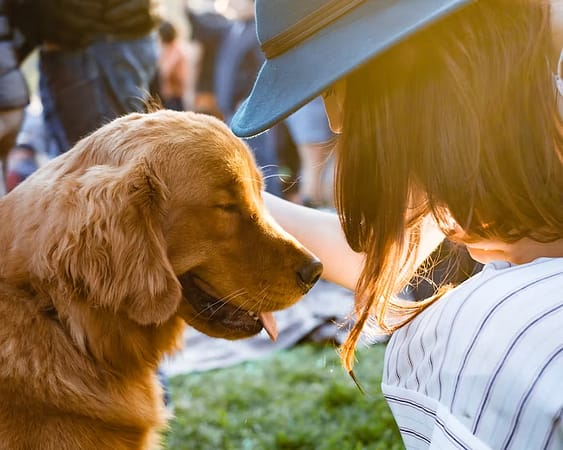 pet sitter