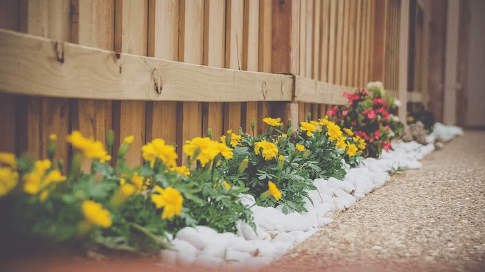save money on landscaping